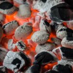 Barbecue : quel modèle choisir ?