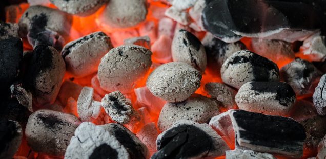 Barbecue : quel modèle choisir ?