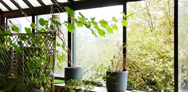 jardin intérieur