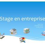 Les bonnes raisons de faire un stage