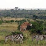 2 belles activités en groupe à prévoir pendant un séjour sur mesure au Kenya