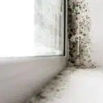 Taux d'humidité de la chambre à 80% ? Voici comment réduire efficacement l'humidité !