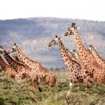 La Tanzanie, un pays parfait pour faire de la randonnée