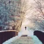 paysage hivernal