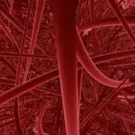 effet vasodilatateur